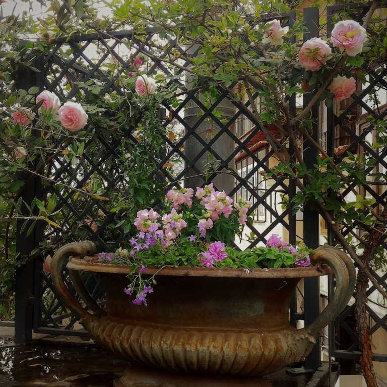 Terrazzi romani
