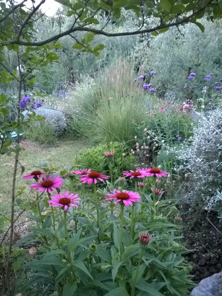 Giardino informale